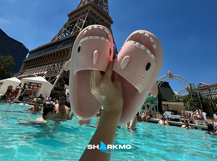 Sharkmo: La moda estiva si tinge di squalo con le ciabatte più cool!